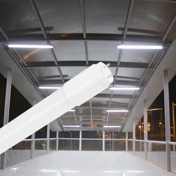 BRY-ADVANCE-24W-G13-SG-T8-GLS-6500K-LED CEV