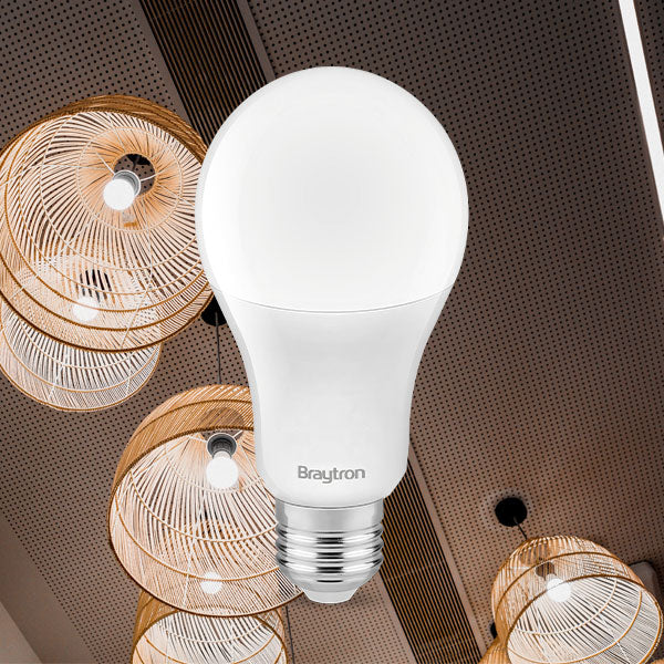 BRY-ADVANCE-16W-E27-A70-6500K-LED SIJALICA