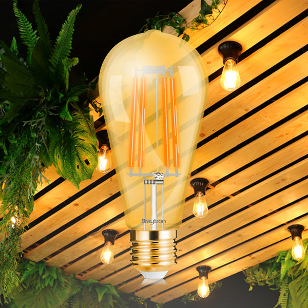 BRY-ADVANCE-6W-E27-ST64-DIMABILNA-2200K-LED SIJALICA