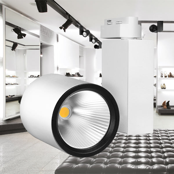 BRY-PD-30W-COB-BELI-6500K-MONOFAZNI-ŠINSKI REFLEKTOR