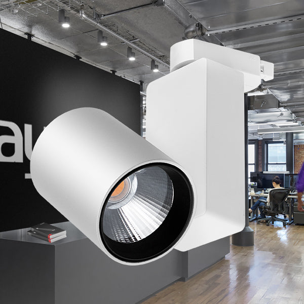 BRY-CD-30W-COB-BELI-4000K-MONOFAZNI-ŠINSKI REFLEKTOR