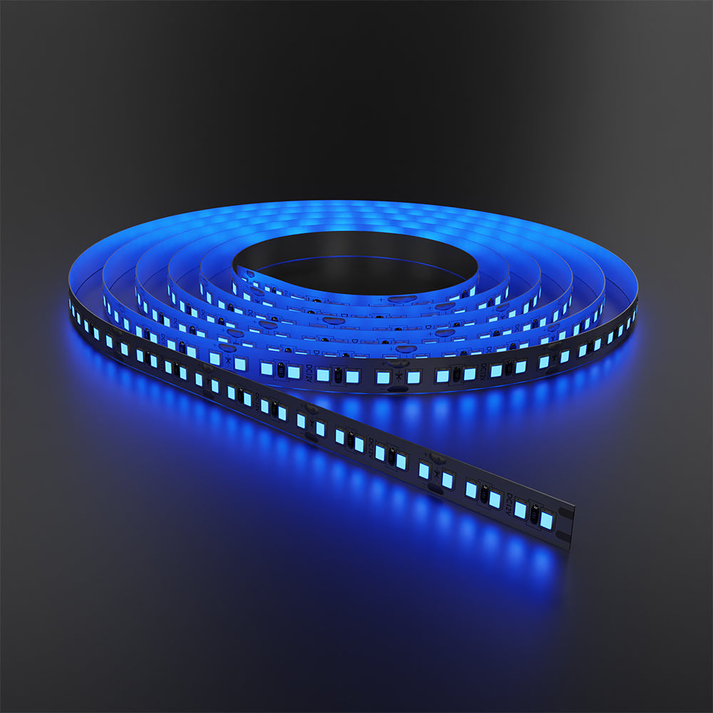 BRY-ECOLINE-12W-60L-5050-PLAVA-12V-IP20-LED TRAKA