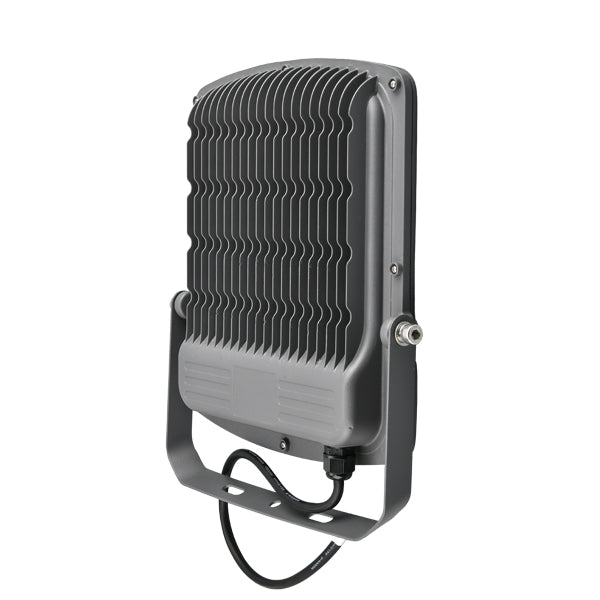 BRY-FLOOD-SL-100W-GRY-3000K-IP65-LED REFLEKTOR