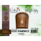 VINTAGE DOMENICO Z250 ZIDNA LAMPA 1*E14 (250x120x220 mm) - SKU02813